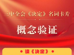 三中全会《决定》名词卡片天天学：概念验证