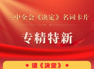 三中全会《决定》名词卡片天天学：专精特新